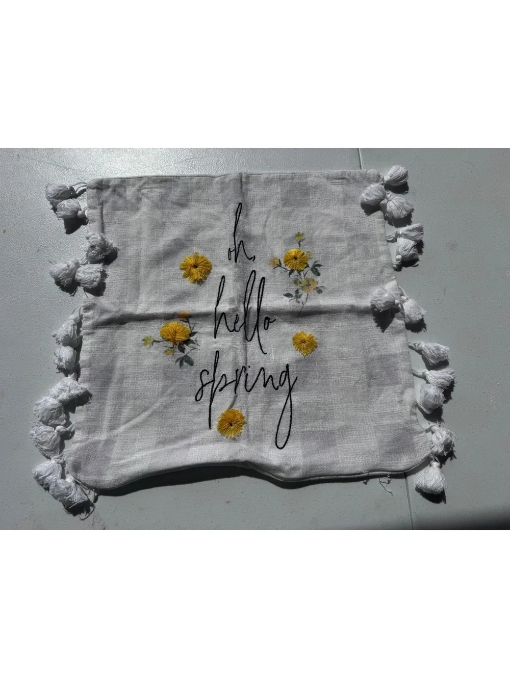 Set of 2 18x18 Spring Pillow Covers Bird Hello Spring Tassel Embroidered